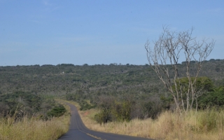 Visão geral da Reserva Ecológica do Panga