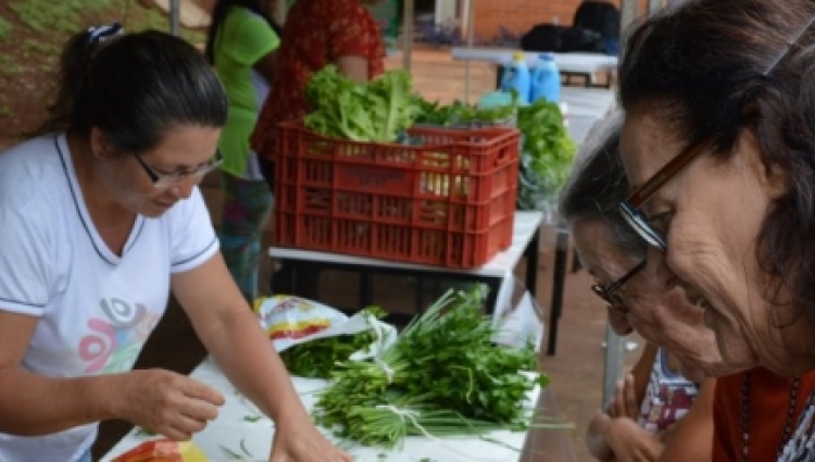 Centro de Incubação de Empreendimentos Populares Solidários - Patos de Minas