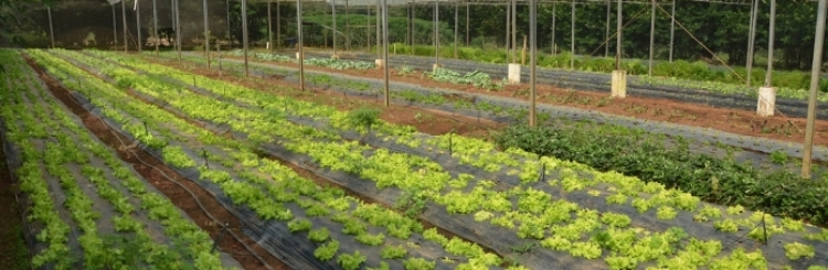Fazenda do Glória