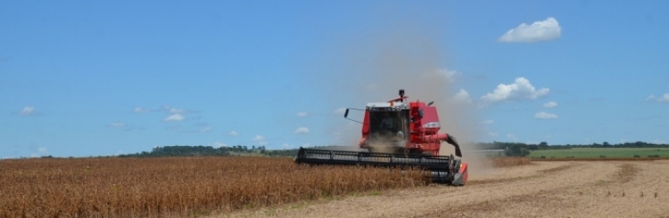 Fazenda Água Limpa