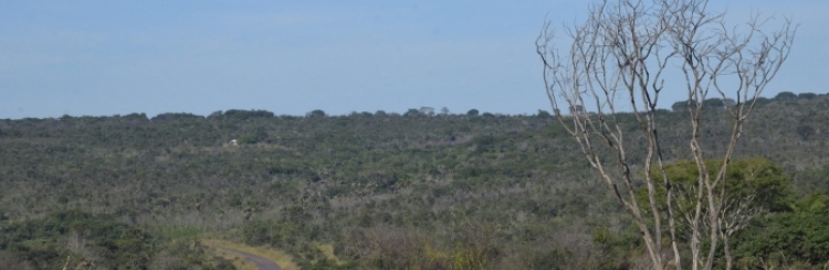 Visão geral da Reserva Ecológica do Panga