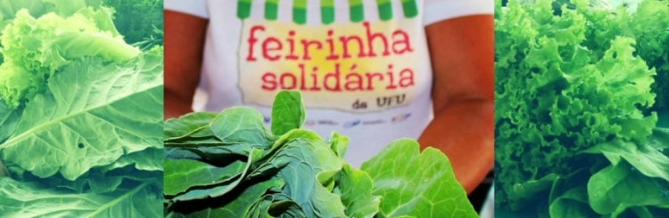 Centro de Incubação de Empreendimentos Populares Solidários - Uberlândia Centro de Incubação de Empreendimentos Populares Solidários - Uberlândia